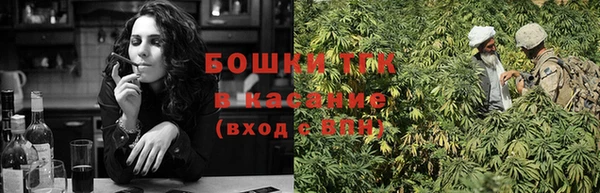 дурь Касимов