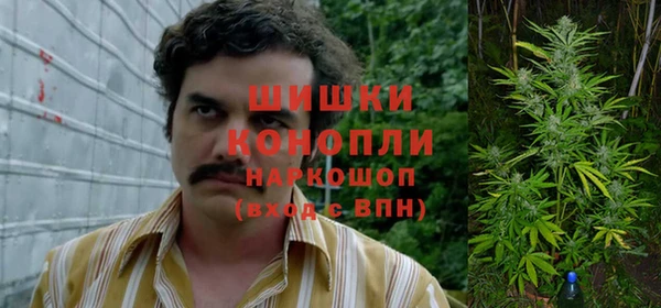 дурь Касимов